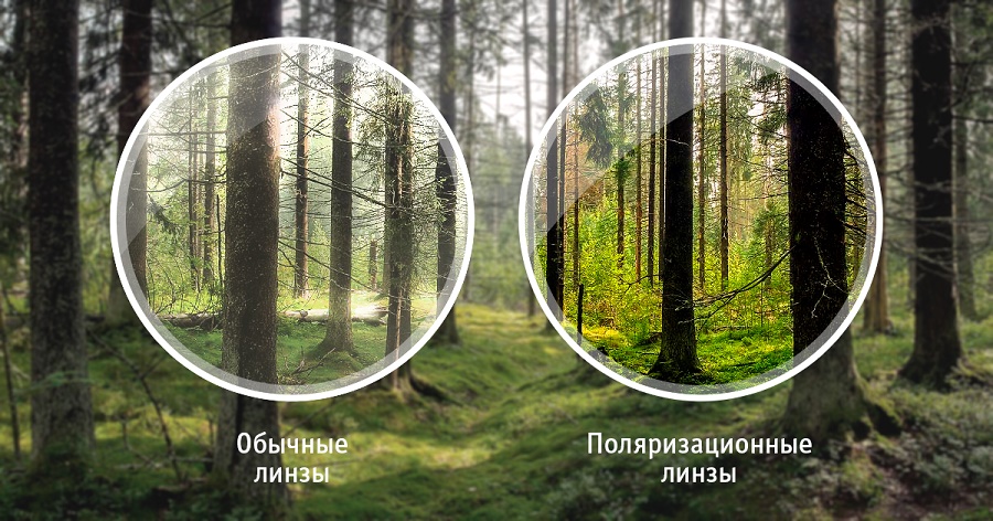 поляризационные очки это