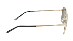 Солнцезащитные очки -  Cerruti 1881 CR 80033 C2 (+) - 2