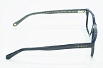 Оправы -  Ted Baker Duval 8199-672 55 (+) - 2