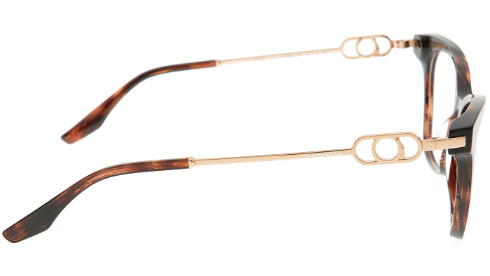 Оправы -  Trussardi TSW6022 G22 (+) - 2