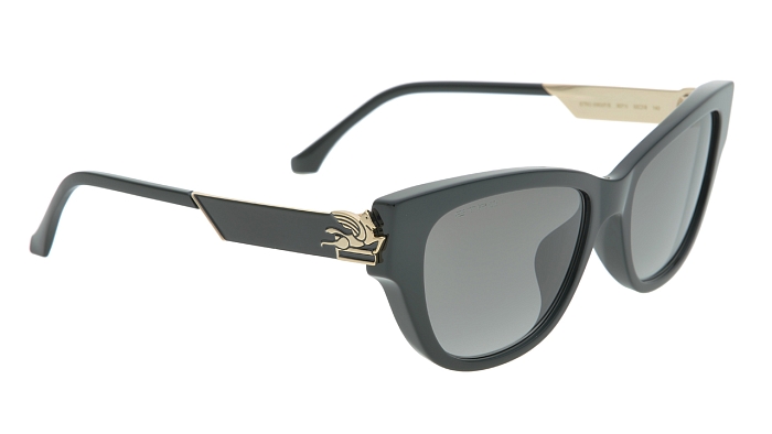 Солнцезащитные очки -  Etro 0063/F/S-807/1I 55 (+) - 1