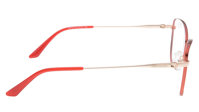 Оправы -  Renome R 24130 C3 - 2