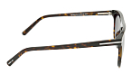 Солнцезащитные очки -  Cerruti 1881 CR 80015 C2 (+) - 2