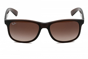С/з Ray-Ban 0RB4202-607313 55 (+)