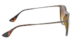 Солнцезащитные очки -  Renome RG 6569 C2 - 2