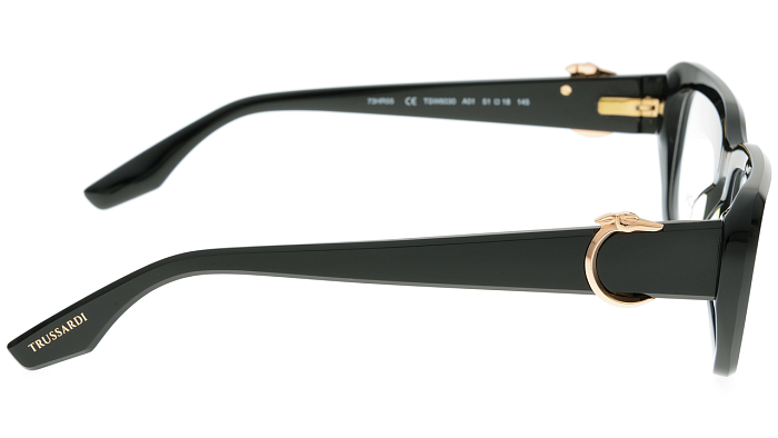 Оправы -  Trussardi TSW6030 A01 (+) - 2