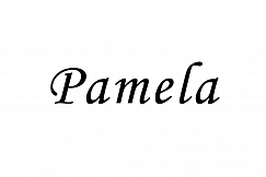 PAMELA
