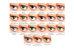 Контактные линзы - OKVISION FUSION Fancy (2 линзы) - 1