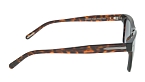Солнцезащитные очки -  Cerruti 1881 CR 80037 C2 (+) - 2