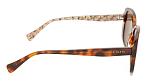Солнцезащитные очки -  Ted Baker Penelope 1740-100 56 (+) - 2