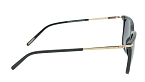 Солнцезащитные очки -  Cerruti 1881 CR 80045 C2 (+) - 2