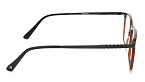 Оправы -  Blancia BC 364 C4 (+) - 2