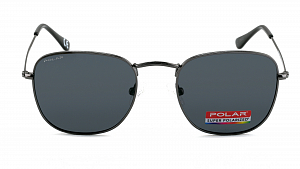 С/з Polar Detroit-48 (+)