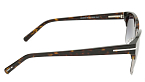 Солнцезащитные очки -  Cerruti 1881 CR 80013 C3 (+) - 2