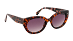 Солнцезащитные очки -  Ted Baker Isla 1737-100 53 (+) - 1