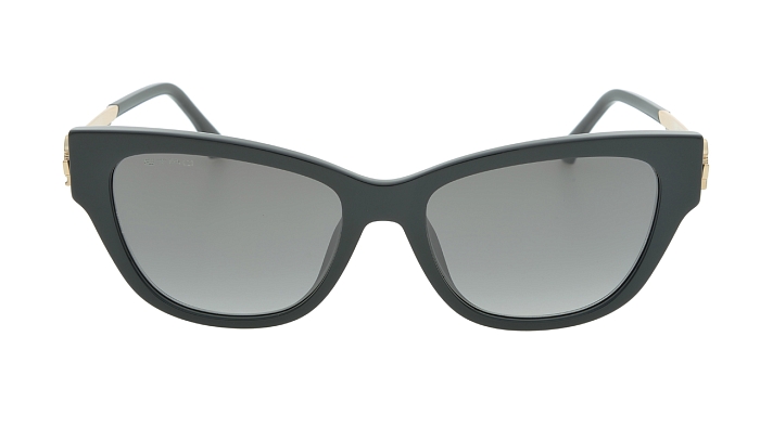 Солнцезащитные очки -  Etro 0063/F/S-807/1I 55 (+) - 0