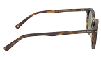 Солнцезащитные очки -  Polar Gold Nico-428/G 51 (+) - 2