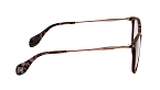 Оправы -  Blumarine 774S G96 51 (+) - 2