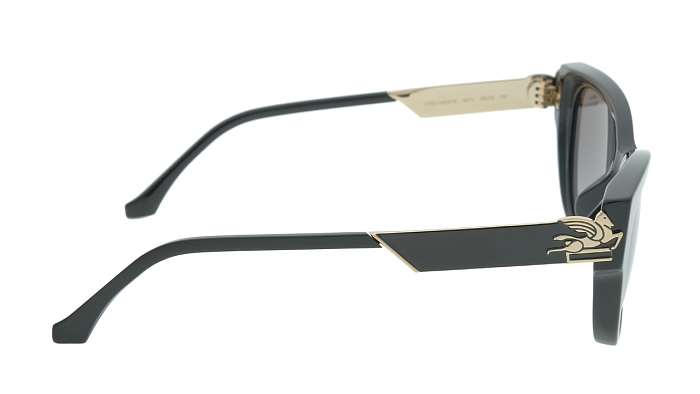 Солнцезащитные очки -  Etro 0063/F/S-807/1I 55 (+) - 2