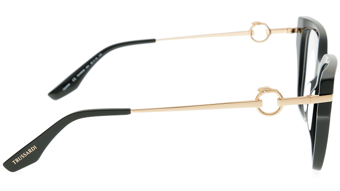 Оправы -  Trussardi TSW6038 A01 (+) - 2