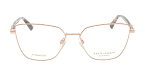 Оправы -  Ana Hickmann AH1531T-05A (+) - 0
