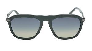 С/з Davidoff DAPS107/SG-01 55/19 (+)