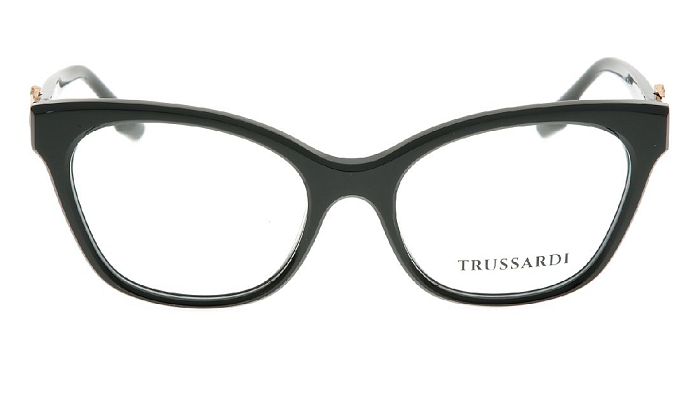 Оправы -  Trussardi TSW6028 A02 (+) - 0