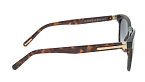 Солнцезащитные очки -  Cerruti 1881 CR 80035 C2 (+) - 2