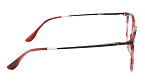 Оправы -  Hermossa HMO 498 C4 (+) - 2