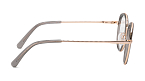 Оправы -  Renome R 81206 C3 - 2
