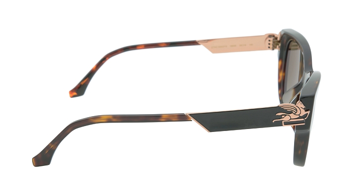 Солнцезащитные очки -  Etro 0063/F/S-086/86 55 (+) - 2