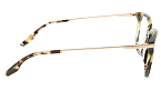 Оправы -  Trussardi TSM6054 G21 (+) - 2