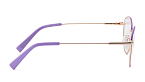 Оправы -  Renome R 81216 C3 - 2