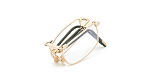 Оправы -  Chopard D86M 300 55 (+) - 3