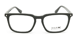 Оправа Опр. Web We 5430 001 54 (+)