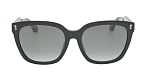Солнцезащитные очки -  Etro 0065/F/S-807/1I 57 (+) - 0