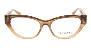 Оправа Опр. Trussardi TSW6021 C01 (+)