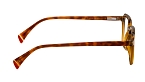 Оправы -  Umi U 5341 C1 - 2