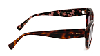 Солнцезащитные очки -  Ted Baker Isla 1737-100 53 (+) - 2
