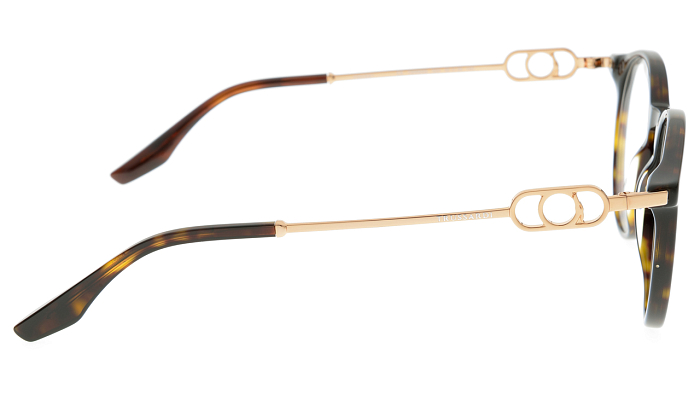 Оправы -  Trussardi TSW6005 G22 (+) - 2
