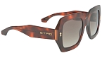 Солнцезащитные очки -  Etro 0011/S-05L/HA 53 (+) - 1